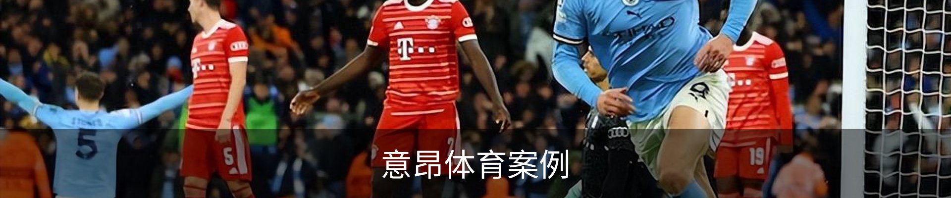 意昂体育案例